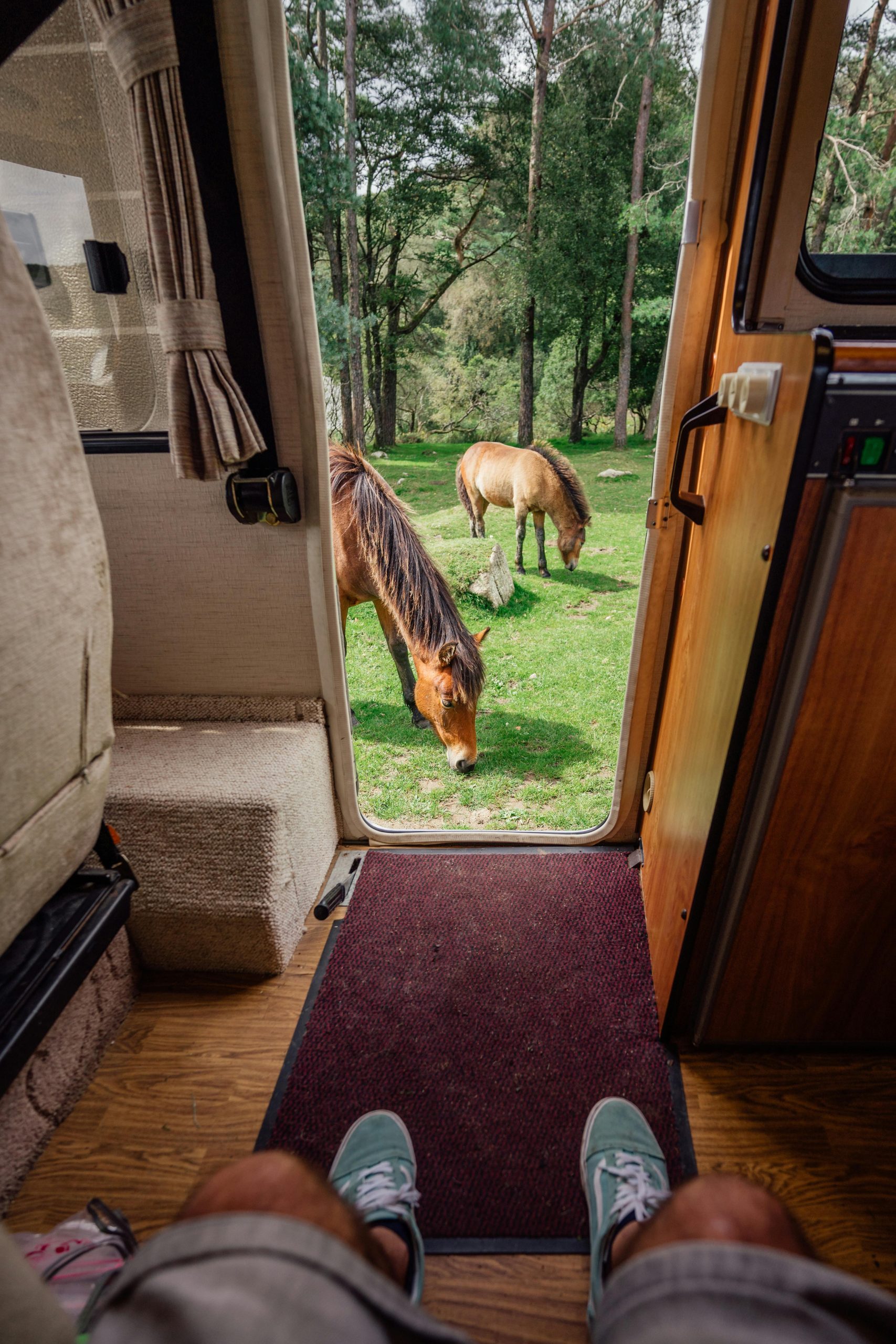 Joint endommagé porte cellule camping-car