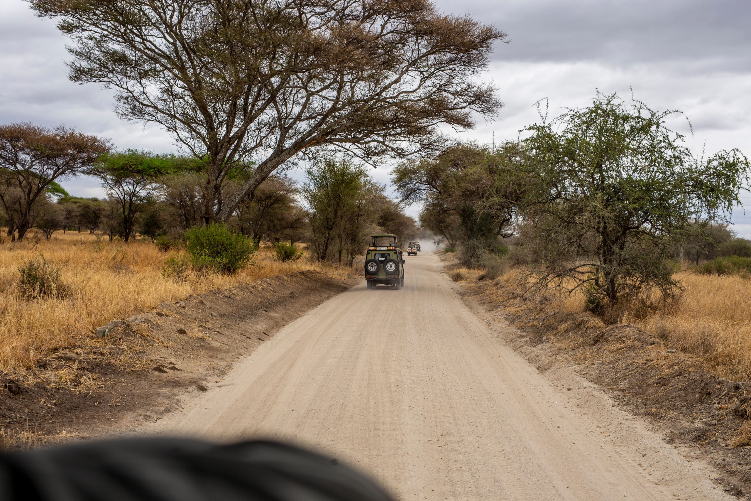 Jeep traversant la savane africaine poussiéreuse
