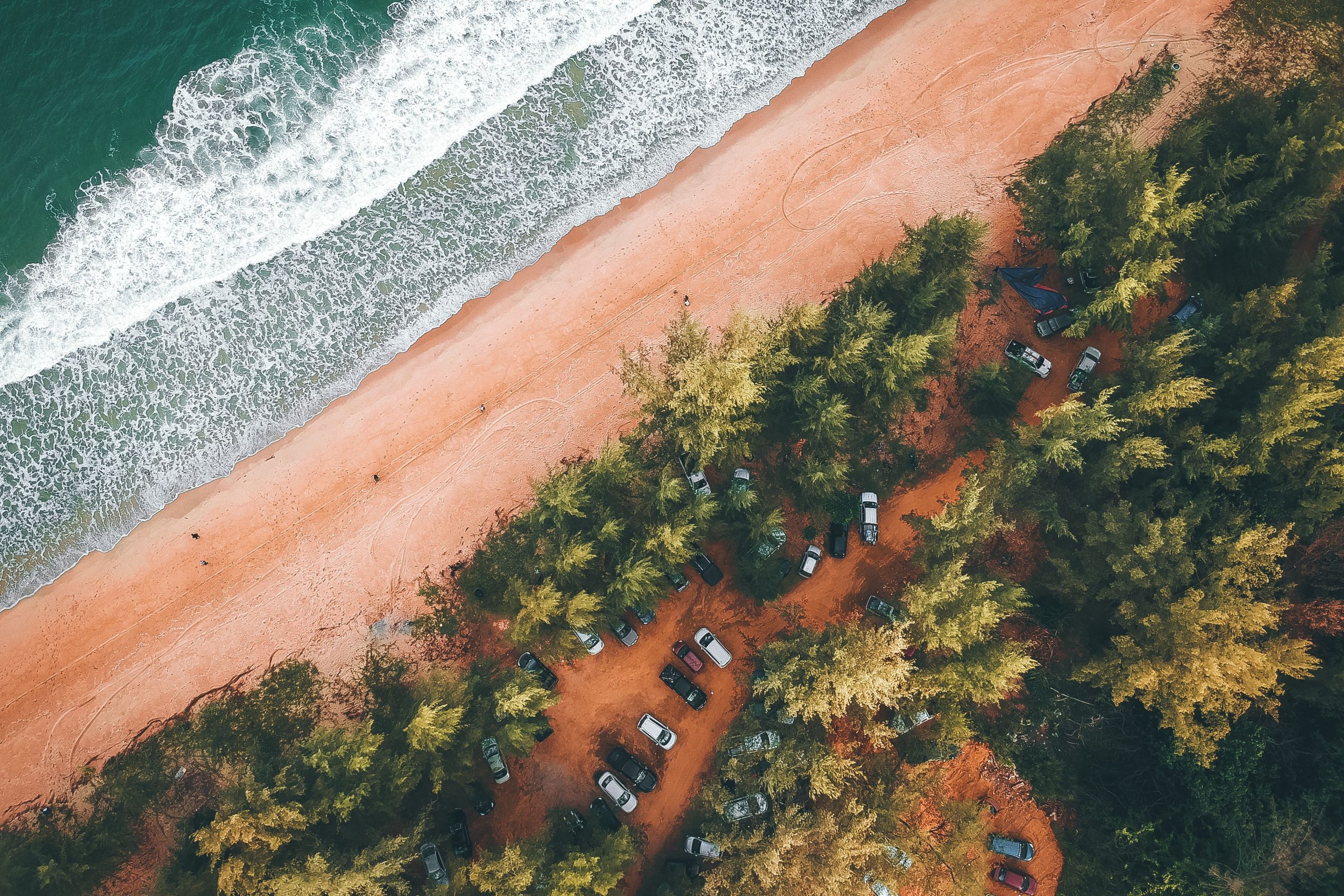 Plage tropicale avec arbres verts et voitures