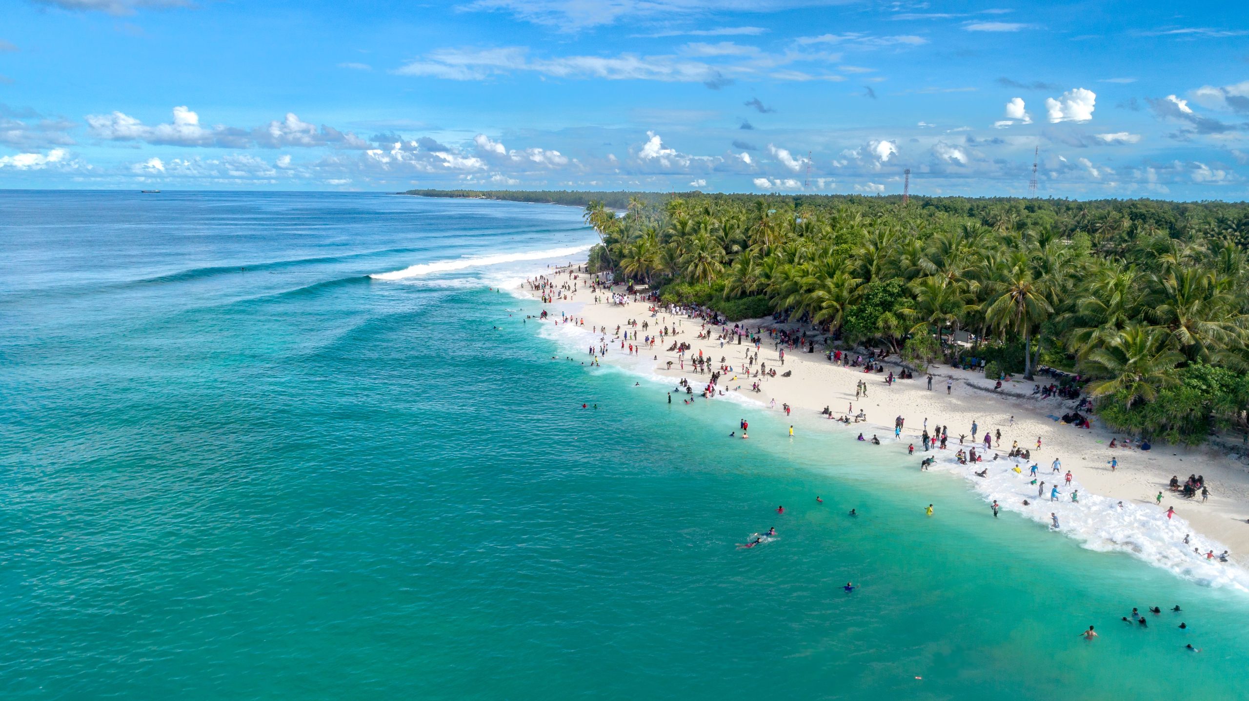 Vue aerienne plage tropicale palmiers eau