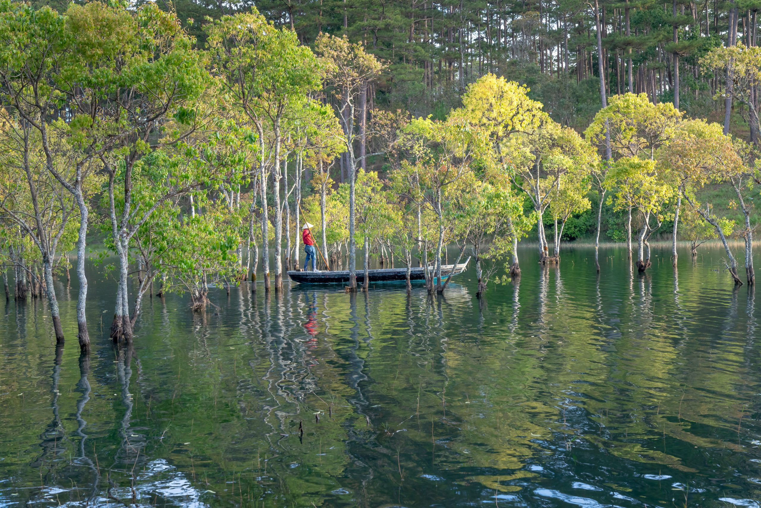 Personne pagayant sur eau avec arbres