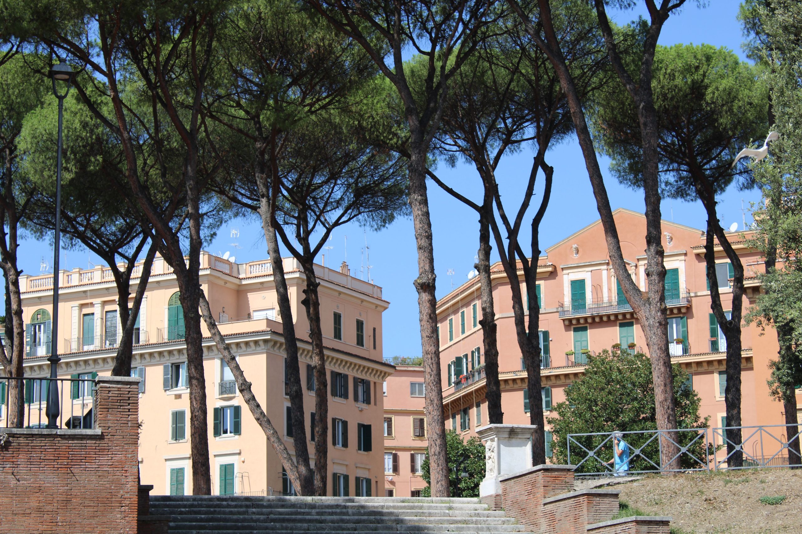 Immeubles résidentiels et pins parasols à Rome