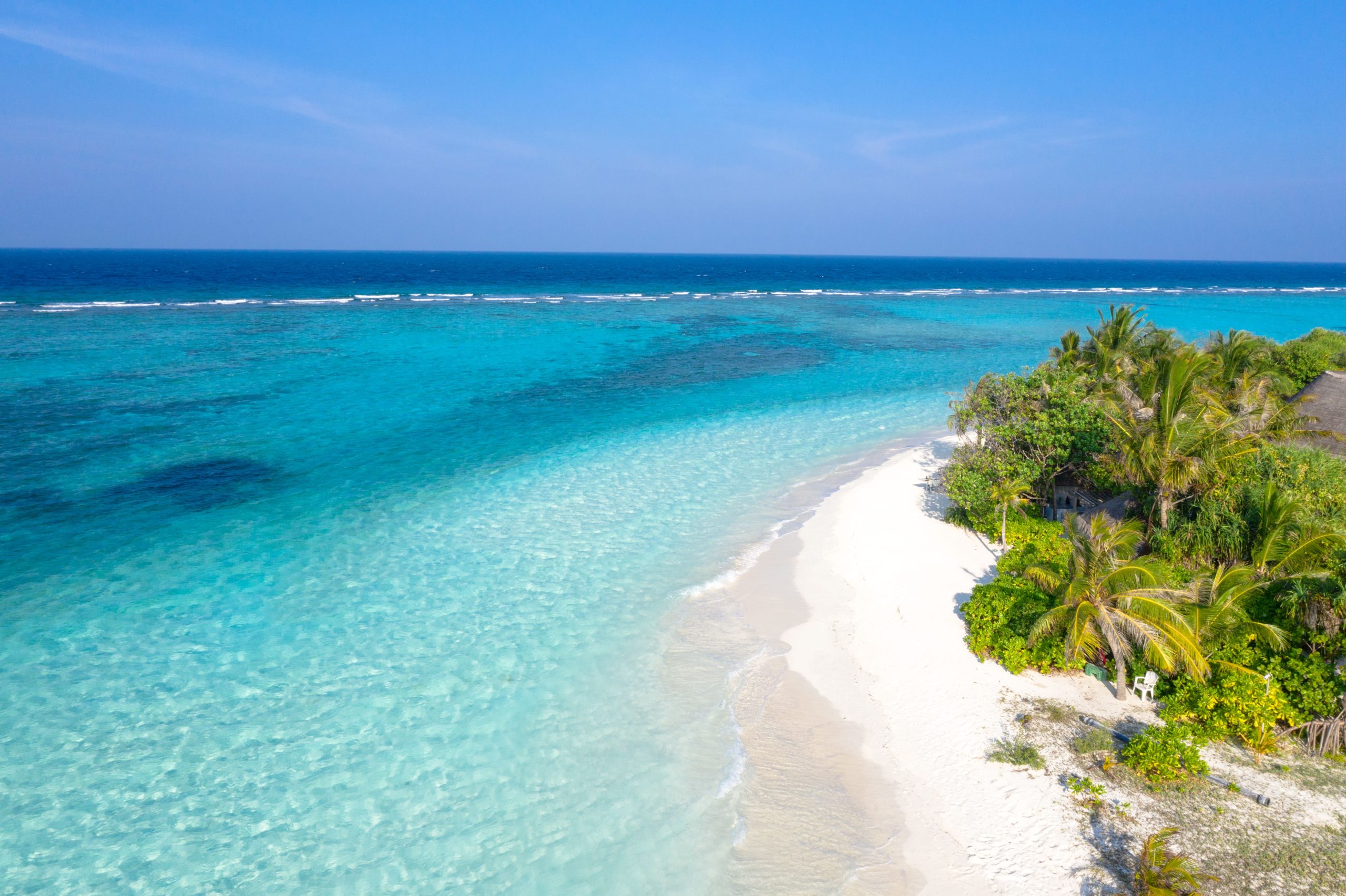Plage tropicale aux eaux cristallines et verdure luxuriante
