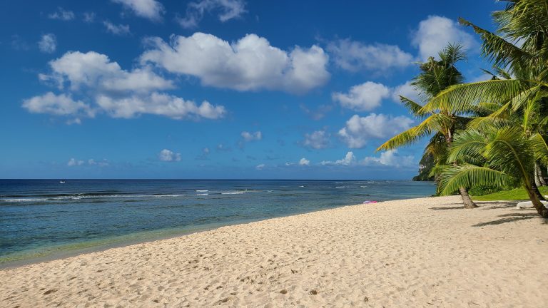 Vivre à La Réunion ou Guadeloupe : laquelle te convient vraiment ?